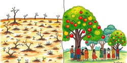 From Scarcity to Abundance: Economic Paradigms