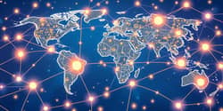 The Power of Networks: Economic Synergies Unveiled